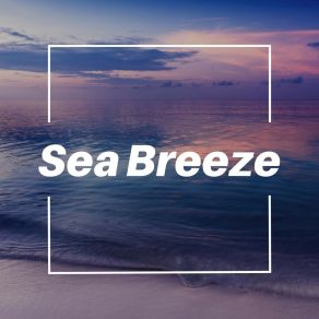 Download track Probative Ocean Relaxing Ocean Sounds