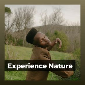 Download track Into A Drain Nature Sounds Nature Music