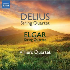 Download track String Quartet In E Minor, Op. 83: I. Allegro Moderato Villiers Quartet