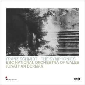 Download track 1. Symphony No. 3 In A Major - I. Allegro Molto Moderato Franz Schmidt