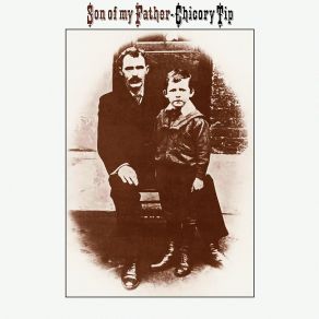 Download track Pride Comes Before A Fall Chicory Tip