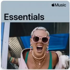 Download track Fkin' Perfect P! Nk