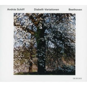 Download track 8. Var. VII - Un Poco Piu Allegro Ludwig Van Beethoven