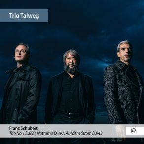 Download track Trio No. 1 In B-Flat Major, D. 898 I. Allegro Moderato Trio Talweg
