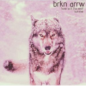 Download track The Mirror Is Only A Reflection Brkn Arrw