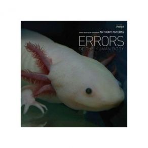 Download track Time Changes Misanthropic Breath
