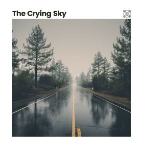Download track Into A Drain Rain Sounds For Sleep Aid