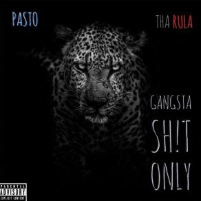 Download track Never Switch Up Tha Rula