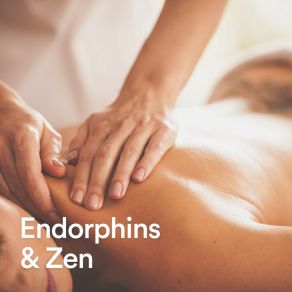 Download track Relaxing Massage Zarobi