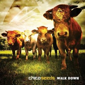 Download track Don'T Know Me Chico Seeds