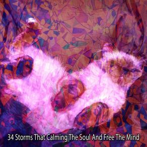 Download track Simulating Stimulation Rain Sounds