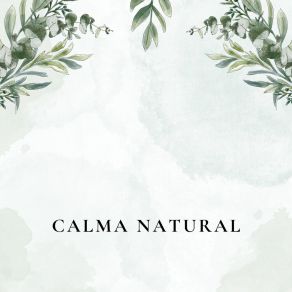 Download track Paz Absoluta Calmante Diario