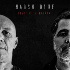 Download track Diary Of A Madman Harsh Blue
