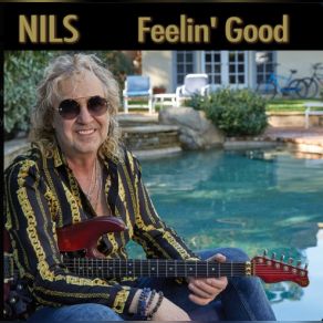 Download track Feelin' Good Nils