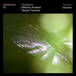 Download track Linear Dimensions Ultraphonic