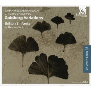 Download track 22. Variation 21 Canone Alla Settima Johann Sebastian Bach
