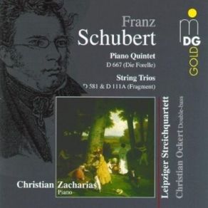 Download track Schubert String Trio (Fragment) In B Flat Major D 111A - Allegro Franz Schubert