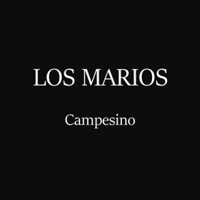 Download track Cubana Los Marios