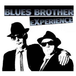 Download track Just Dropped In Blues Brother Experience