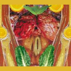 Download track 5 Café Tacuba