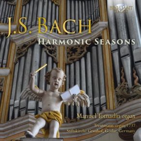 Download track Kleines Harmonisches Labyrinth In C Major, BWV 591 Manuel Tomadin