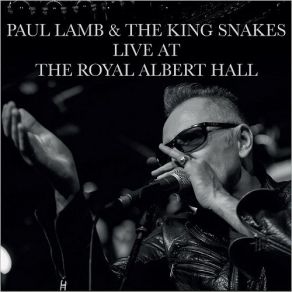 Download track Ain't It A Pity Paul Lamb, Kingsnake