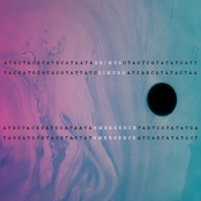 Download track Emergence Grimus