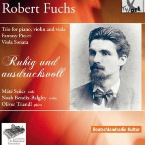 Download track 13. III. Allegro Vivace Robert Fuchs