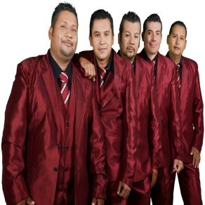 Download track Para Que Quieres Volver Los Caminantes De Brigido Ramirez