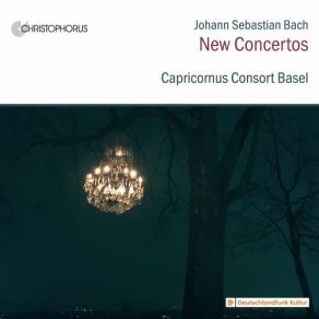 Download track Prelude & Fugue In D Minor, BWV 539 (Arr. P. Barczi For String Ensemble): II. Fugue Capricornus Consort Basel