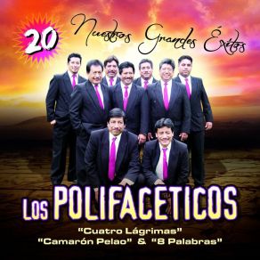 Download track Cuando Te Vuelva A Ver Los Polifaceticos