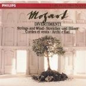 Download track Divertimento In Bb KV287-271H - (2) Variation I The Academy Of St. Martin In The Fields