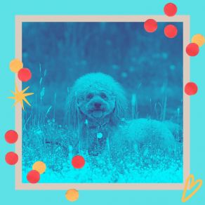 Download track Artistic Sleepy Pups Comfortable Doggy Music