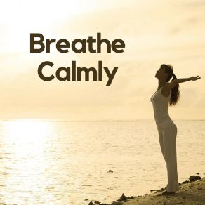 Download track Calm Music For Work And Concentration, Pt. 8 Ambient 11