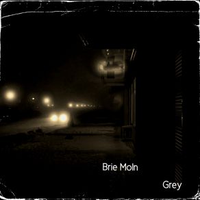 Download track Parallel Universes Brie Moln