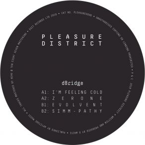 Download track I'm Feeling Cold D - Bridge