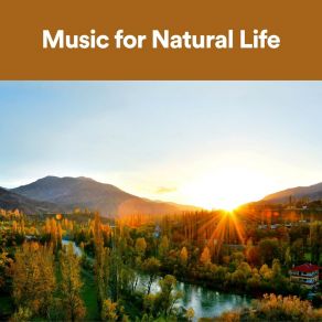 Download track Cannot Keep Spring From Coming Sounds Backgrounds