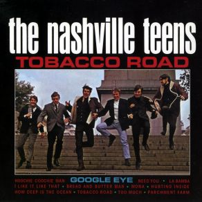 Download track How Deep Is The Ocean The Nashville Teens