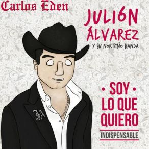 Download track Te Hubieras Ido Antes Julio Alvarez