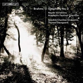 Download track 14. Variations On A Theme By Haydn, Op. 56a St. Anthony Variations Finale. Andante Johannes Brahms