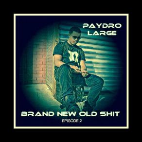Download track Never Slip Paydro Large