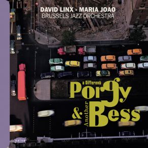 Download track A Woman Is A Sometime Thing Brussels Jazz Orchestra, Maria João, David Linx
