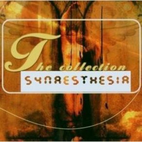 Download track Hallucination Synaesthesia