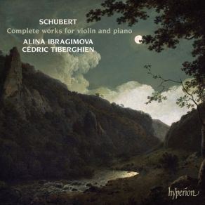 Download track 20 - Fantasy In C Major, D934 - 4- Tempo I - Allegro Vivace Franz Schubert