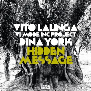Download track Launching Pad Vito Lalinga (VI Mode Inc. Project), Dina York
