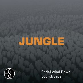 Download track MADLY, Pt. 2 (Wind Down Soundscape) Blaze