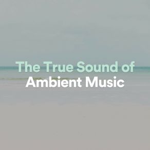 Download track Razor-Sharp Ambient The Yoga Studio