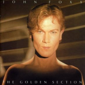 Download track My Wild Love John Foxx