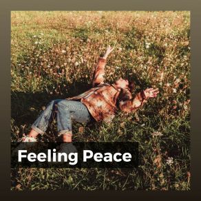 Download track Gradient Quiet Meditation Music