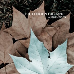 Download track Authenticity The Foreign Exchange